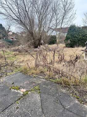 tempImage1h9rgK.jpg - 