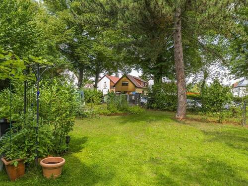 Blick in den Garten - 