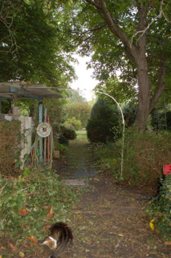 Zuweg zum Garten - Einfamilienhaus mit 190,00 m&sup2; in Schildau zum Kaufen