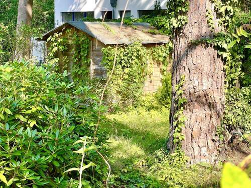 Detail hinterer Garten - Grundstück in Berlin zum Kaufen