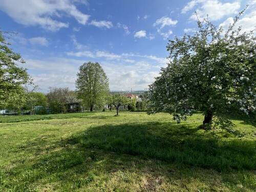 Blick in Richtung Ost - 