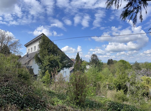Ausblick Richtung Süden - 