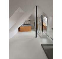 Exclusive-DG-Wohnung, inkl. Einbauküche - Neustadt an der Aisch