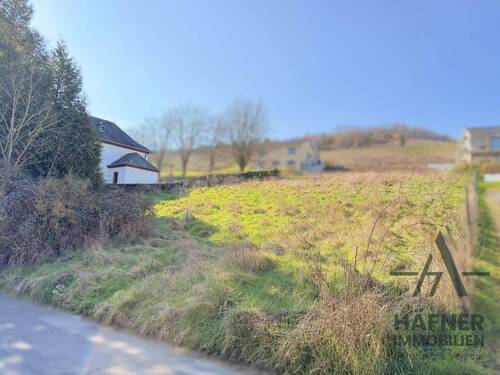 Baugrundstück - Grundstück zum Kaufen in Fastrau