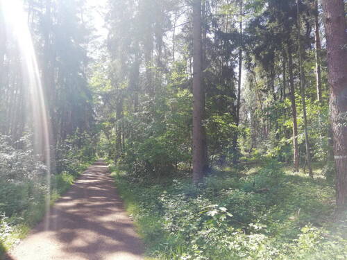 Bild 11 - 