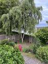 Biergarten - 