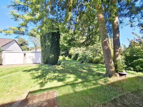 Blick in den Garten Bild 1 - 