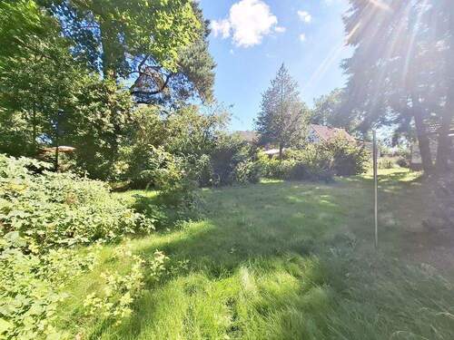 Blick in den Garten Bild 4 - 