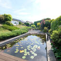 Bild28 - 