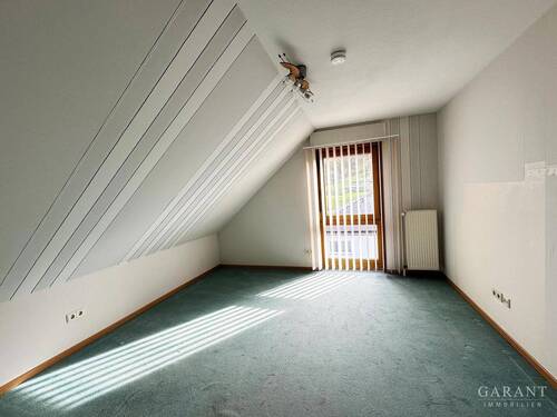Zimmer DG - 