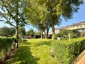 Gemeinschaftsgarten - 