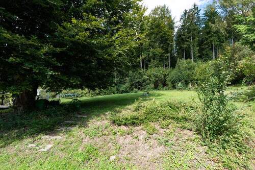 Gartenfläche oberhalb des Hauses - 