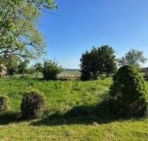 Ihr neues IMMOBILIEN QUARTIER: Traumhaftes Grundstück mit rund 2.600 Quadratmeter in SeelzeLohnde - Seelze / Lohnde