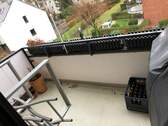 IMG_0145.jpeg - 