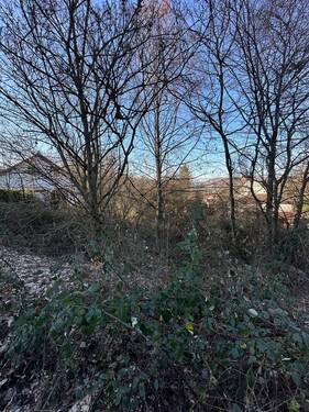 Cronenberger Straße - Grundstück in Lauterecken zum Kaufen