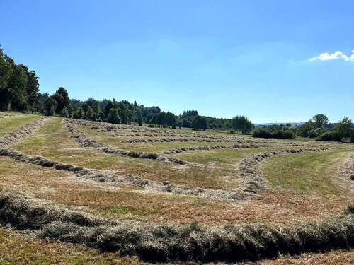 Steinfurt_Heuernte_0725 (2) (002).jpg - Grünland mit genehmigtem Bauprojekt für Wohnen & Pferdehaltung nähe 36355 Grebenhain – 3,6 ha mit Traumlage