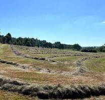 Grünland mit genehmigtem Bauprojekt für Wohnen & Pferdehaltung nähe 36355 Grebenhain – 3,6 ha mit Traumlage