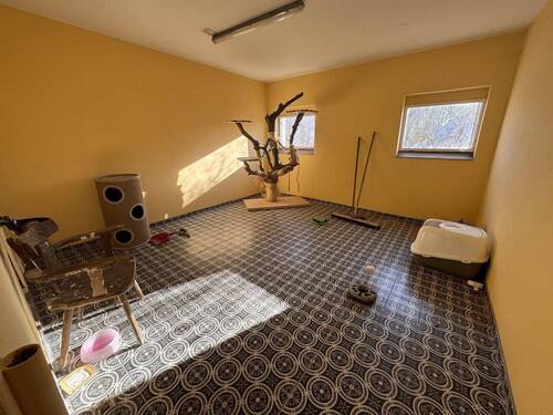 Bild 14 - 