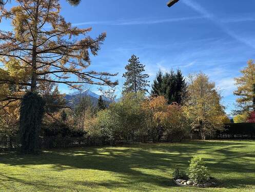 Großzügiger Garten - 