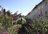 Gartennutzung - 