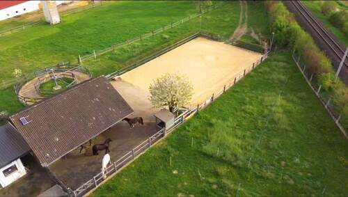 41e25212-6475-44e3-99e2-311a992d8c9e.JPG - 