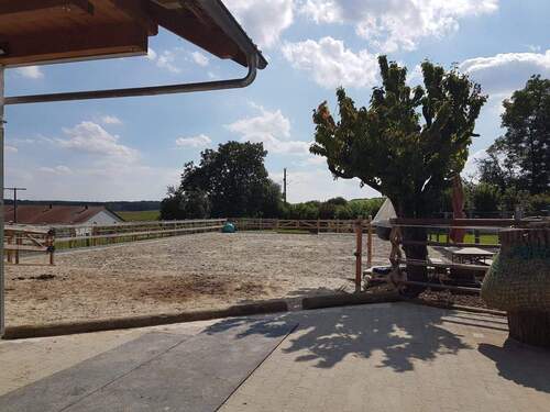 d3c80178-65e5-435c-bf3d-80d55ff1ebfc.JPG - 