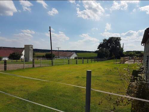 05a665f1-e21d-49ce-bfb8-c99a3dc9cf6f.JPG - 