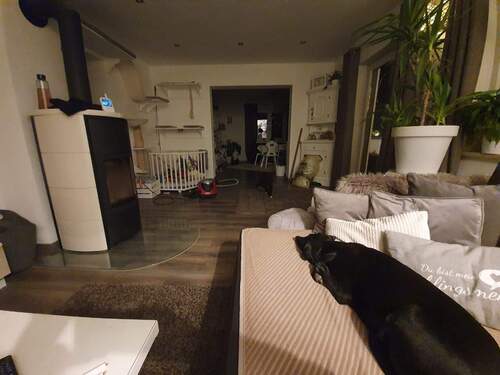 76d74dc1-c88d-4ce9-96bb-8b61d476b5d6.JPG - 