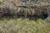 Bachansicht - 