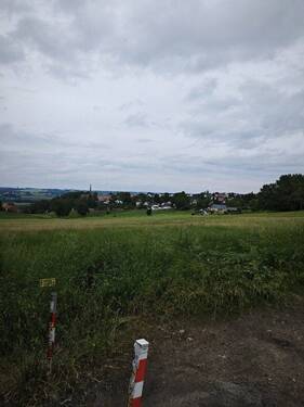 am Ende Steinstraße ganz nah - 