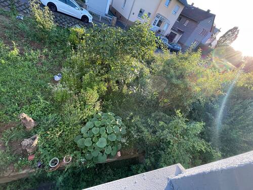 Garten - 