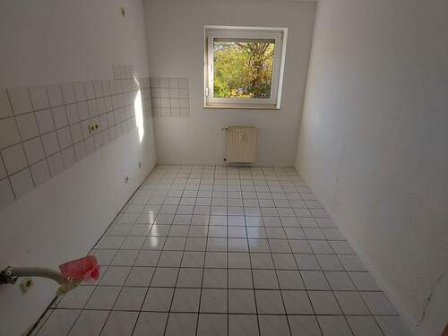 20251105_101048.jpg - 