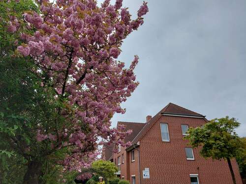 20240412_094756.jpg - 2 Zimmer Etagenwohnung zum Kaufen in Hohe Börde