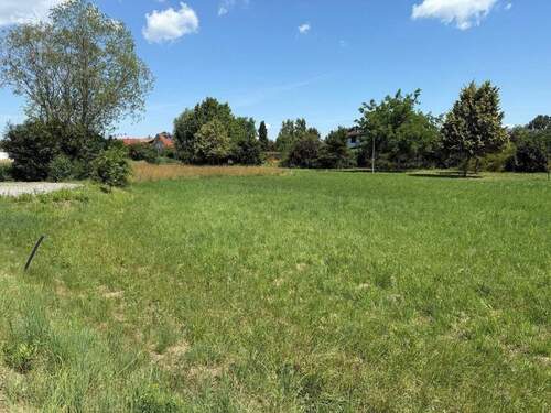 Bild 1.jpeg - 992 m² Baugrundstück für EFH oder ZFH in Landau an der Isar