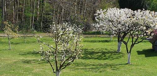 WhatsApp Image 2025-10-28 at 16.51.44-5.jpeg - 