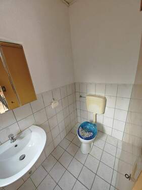 IMG_20260113_115155.jpg - 