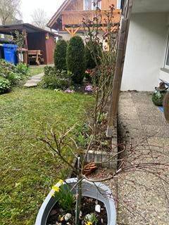 IMG_0462.jpg - 4-Zimmerwohnung in Veitshöchheim