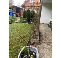 4-Zimmerwohnung in Veitshöchheim