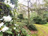 Bild 14 - 