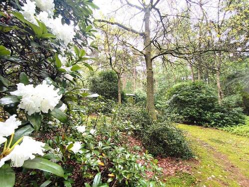 Bild 14 - 