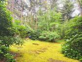 Bild 16 - 