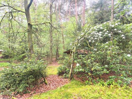 Bild 17 - 