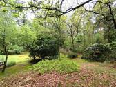 Bild 18 - 