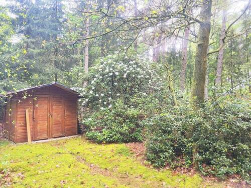 Bild 19 - 