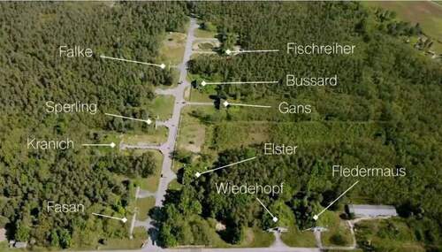 Bild 4 - Mehrfamilienhaus, Wohnhaus mit 400,00 m&sup2; in Neuhardenberg zum Kaufen