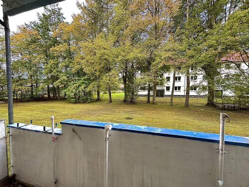 Blick nach draußen - 