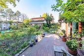 ... Blick in den Garten. - 