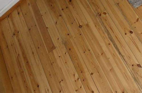 Detail2 - 1 Zimmer Mehrfamilienhaus, Wohnhaus in Landau in der Pfalz