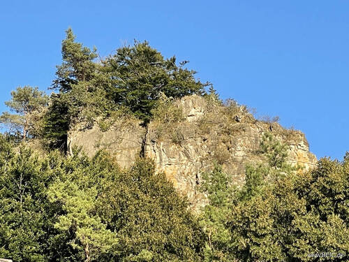 IMG_8546 Kopie - Campingplatz in beliebter Urlaubsregion - umsatzstarke Vollexistenz in Bestzustand, Betreiberwohnung