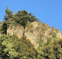 Campingplatz in beliebter Urlaubsregion - umsatzstarke Vollexistenz in Bestzustand, Betreiberwohnung - Mürlenbach